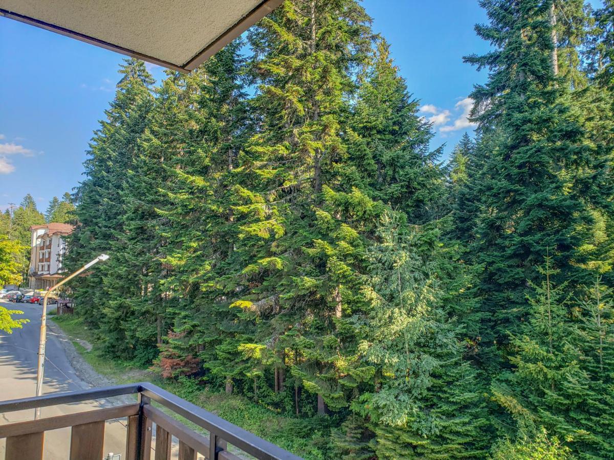 Lovely Borovets Apartment Extérieur photo