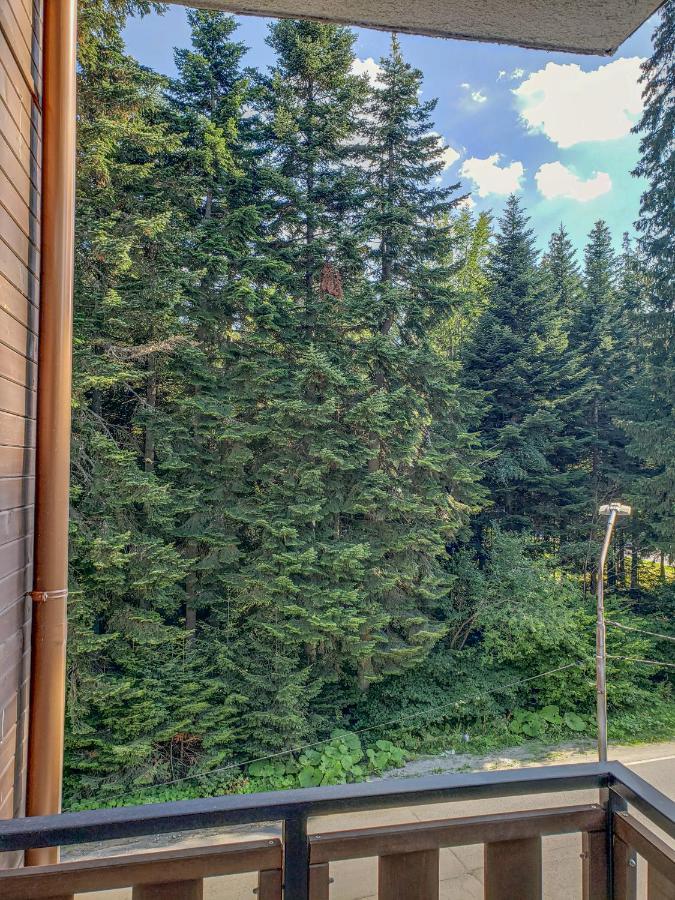 Lovely Borovets Apartment Extérieur photo